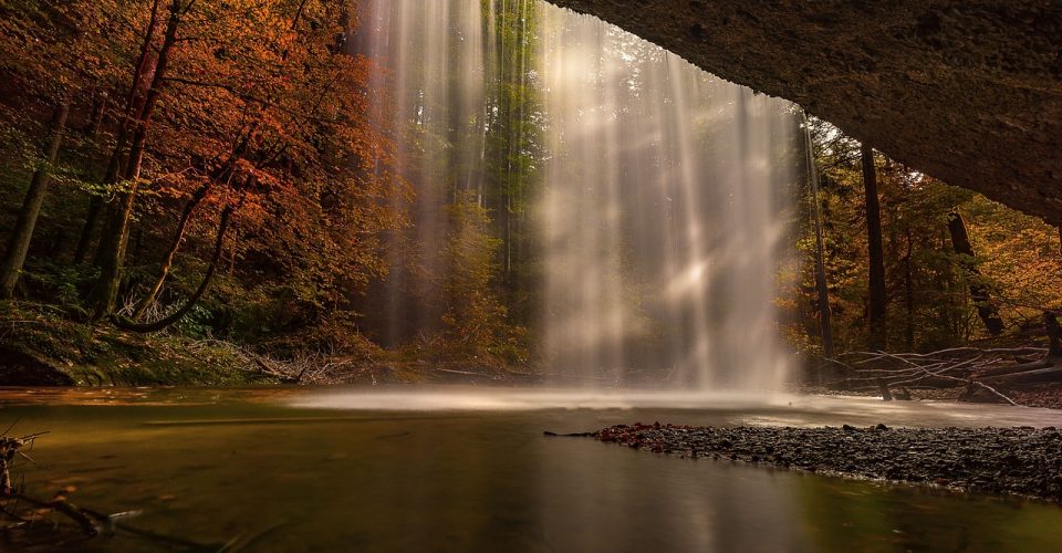 hd wallpaper, nature wallpaper, nature-3719233.jpg